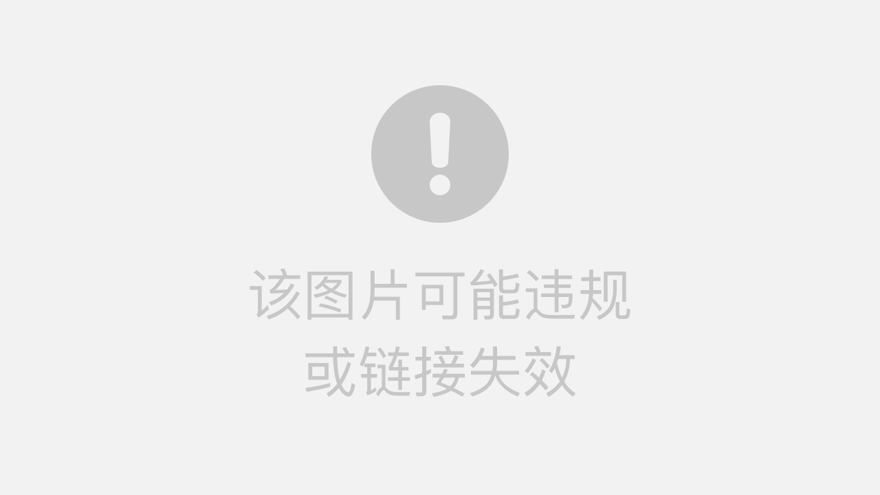 用Go语言打造你的从第一天到365天视频—让每一天都闪闪发光